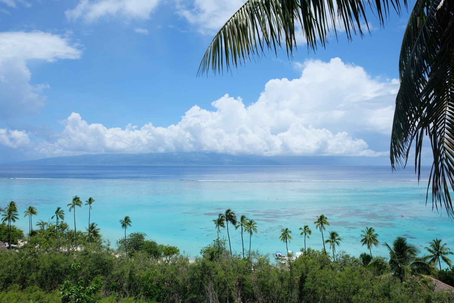 Polynésie française, Moorea